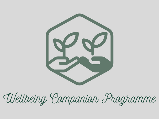 Wellbeing Companion Programme